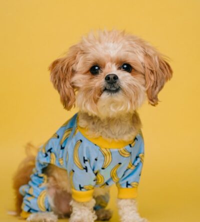Banana Sweater